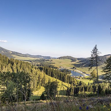 Urlaub auf der Alm in Österreich: Hotel Pierer