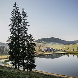 Natur rund ums Almhotel Pierer in Österreich