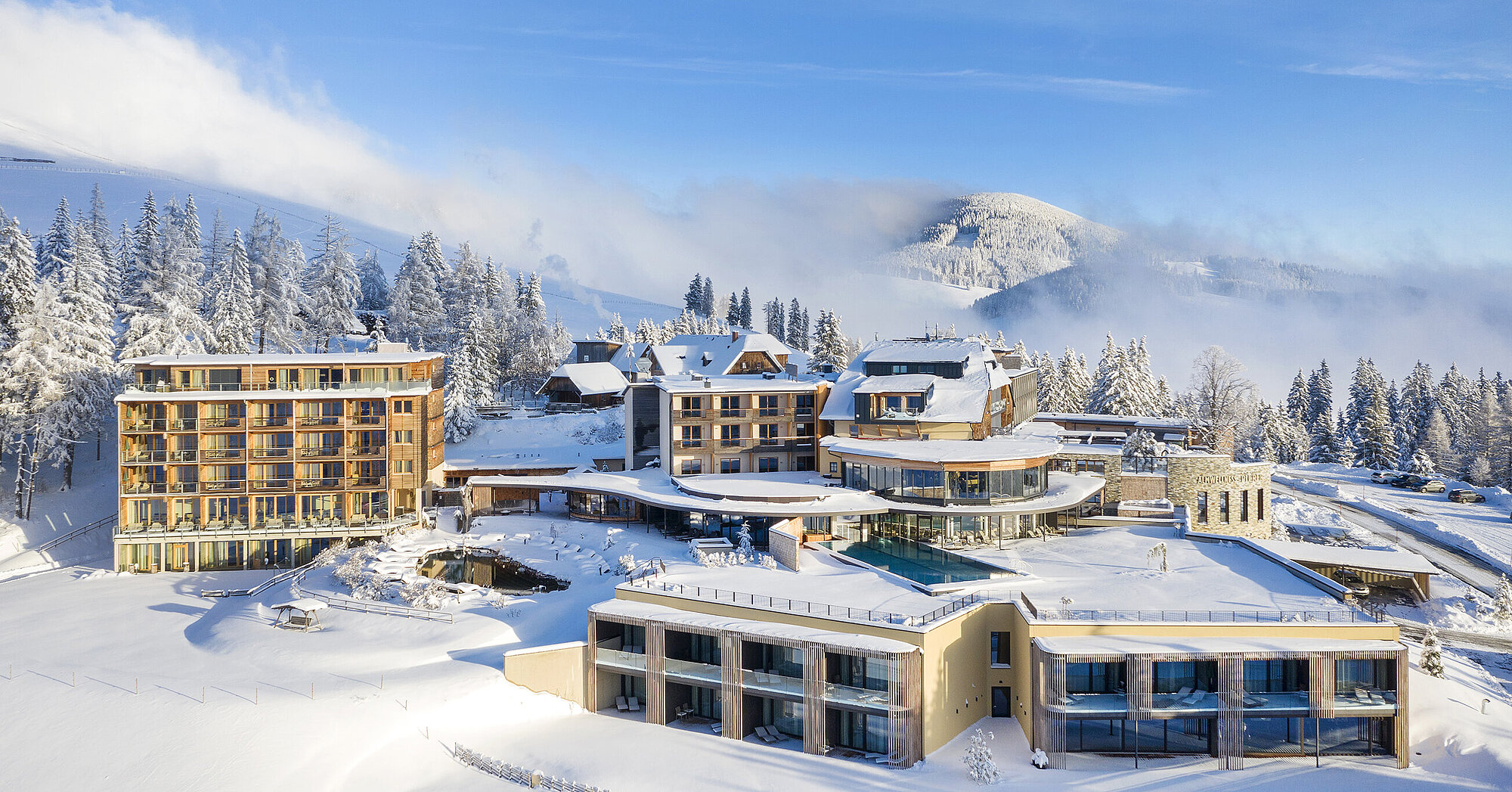 Almwellness Hotel Pierer 4*s