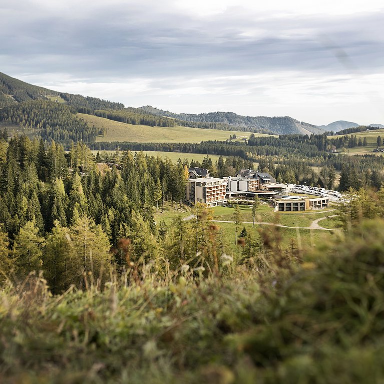 Hotel Pierer auf der Teichalm: von Gault&Millau ausgezeichnet