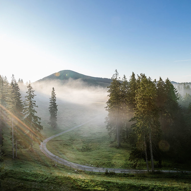 Besonderer Urlaub in Österreich auf der Teichalm