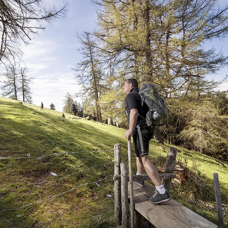 Natururlaub in Österreich: Almwellness Hotel Pierer